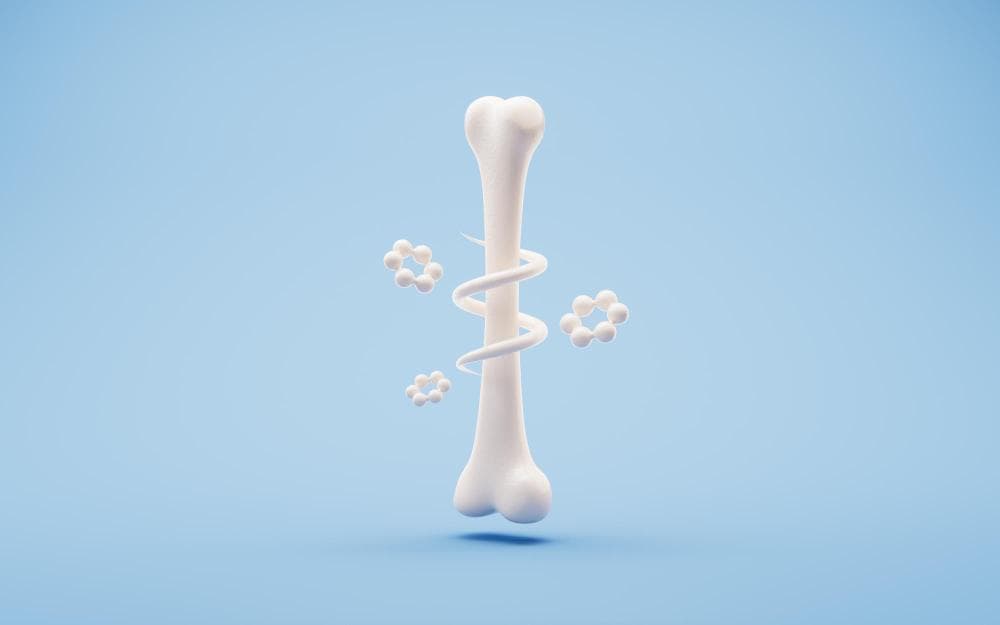 Best Foods for Bone Health — A Complete India-Specific Diet Guide