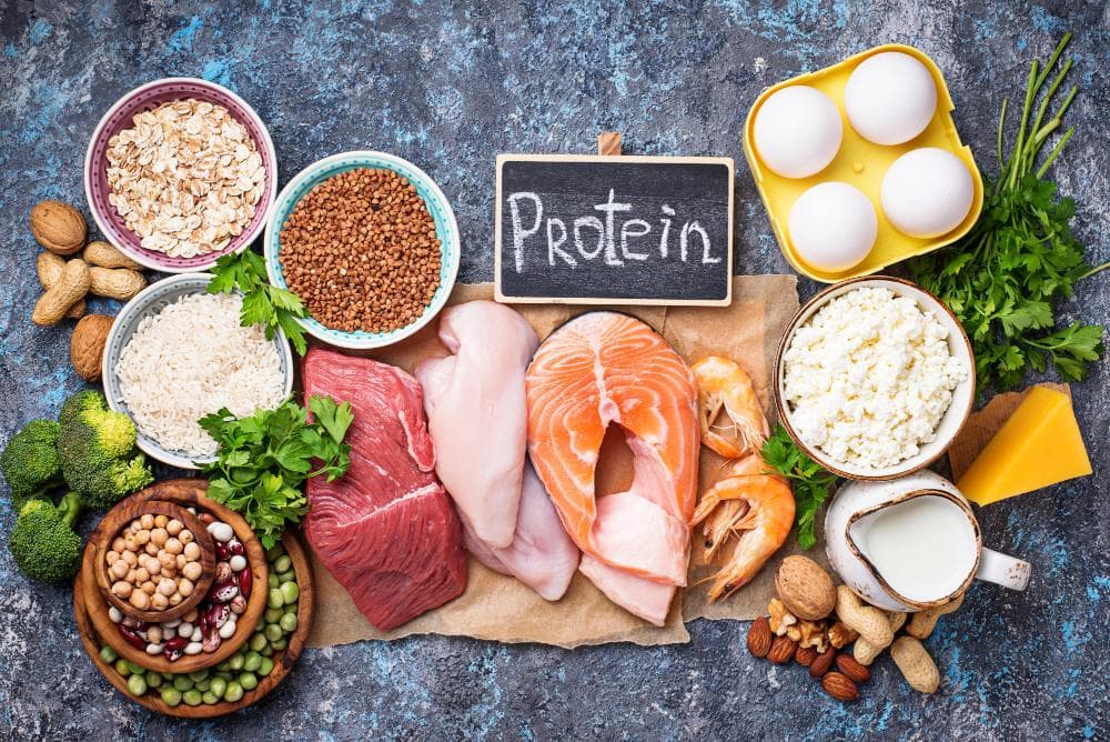 A better image showing a variety of high-protein products, such as eggs, salmon, chicken, meat, lentils, nuts, milk, and grains, arranged around a table labeled ‘Protein.’