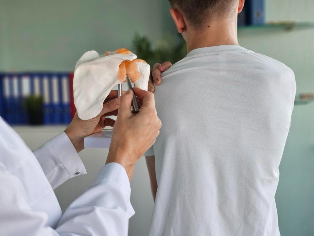 A healthcare professional is demonstrating the anatomy of the shoulder using a 3D model.