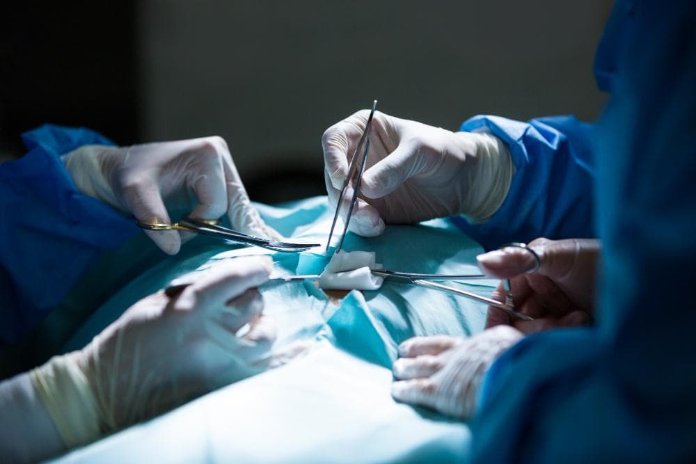 Single-Row and Double-Row Repair Methods: How Surgeons Decide